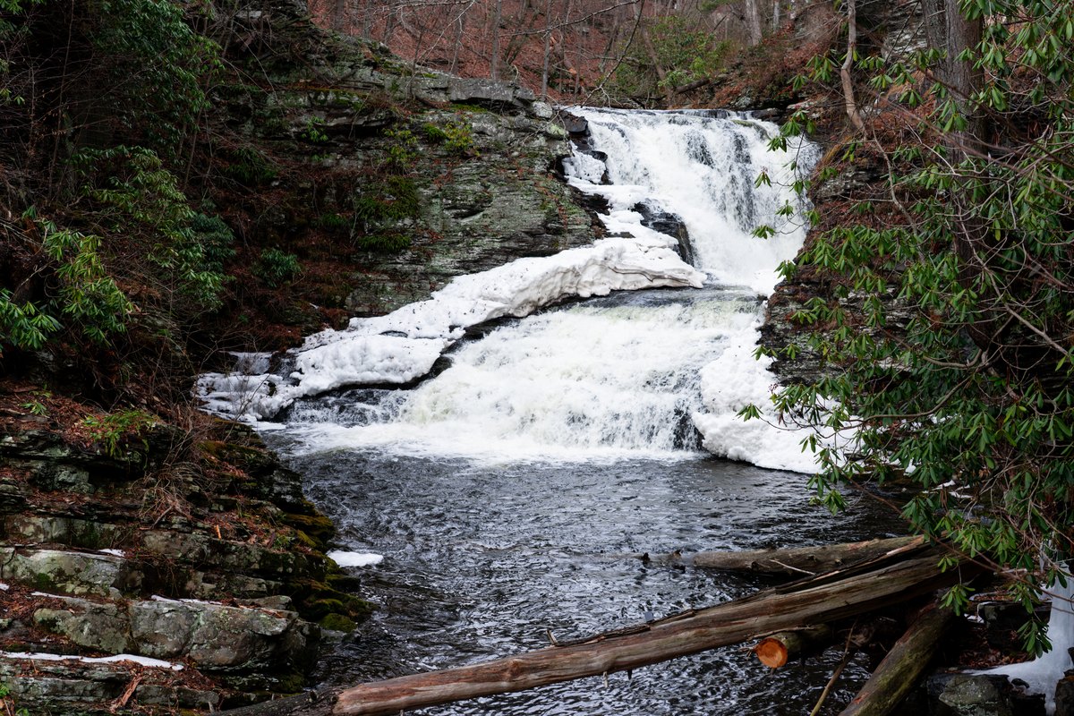 Natural waterfall terrain near Waterfall Wonder with creek, rock ledges, and downed branches.